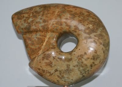 Wijsneus