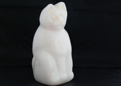 Witte kater