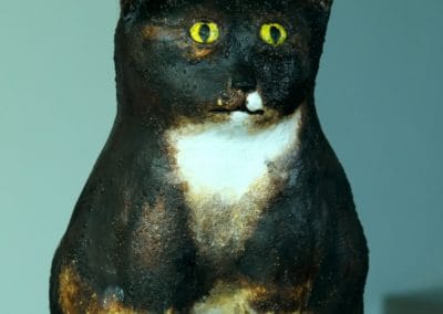 Zwarte kat