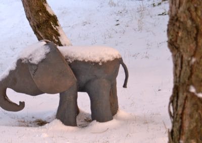 Olifantje in de sneeuw