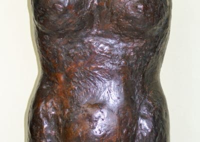 Torso
