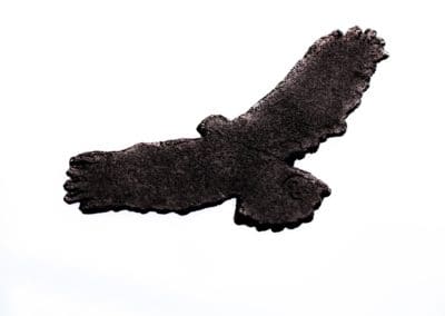 Vogel op raam 3