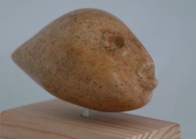 Kogelvis (verkocht)