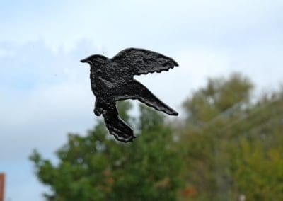 Vogel op raam 1