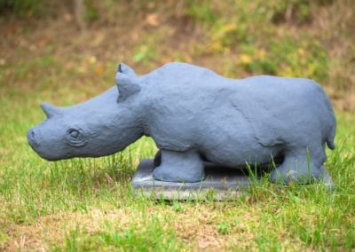 Neushoorn 2