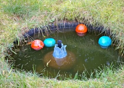 Drijfballen in vijver