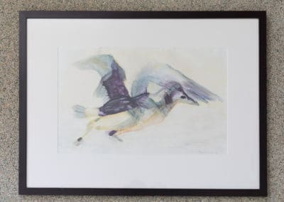 Eerste vogelvlucht
