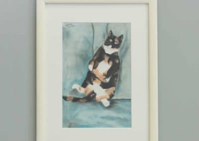 Sacha poes