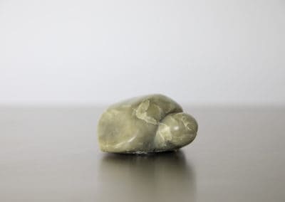 Kleine schildpad