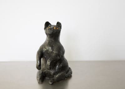 Bedelende zwarte kat